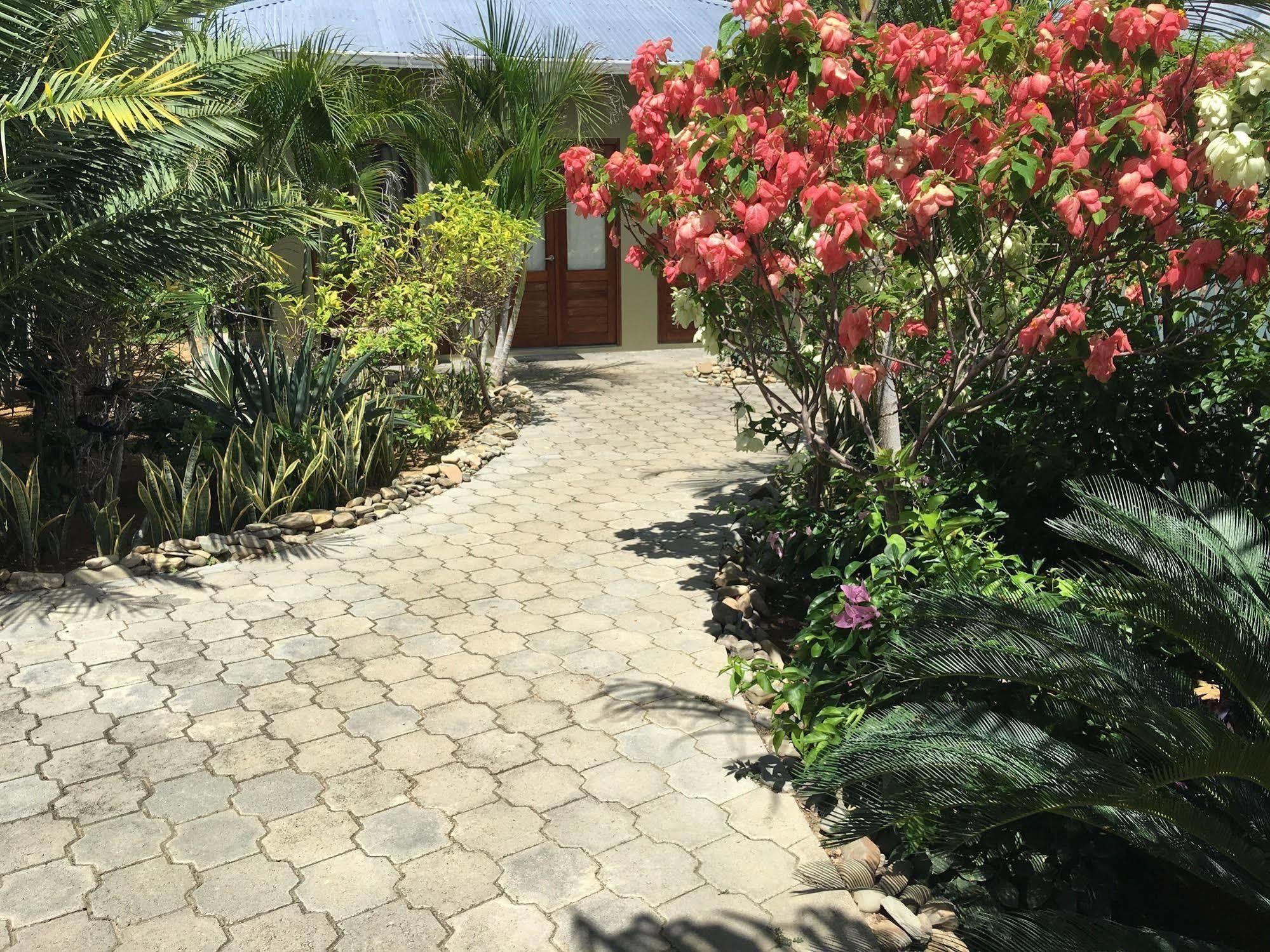 Soma Surf Resort Tola Exterior photo